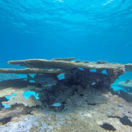 Ukulhas Beach Inn Exteriör bild